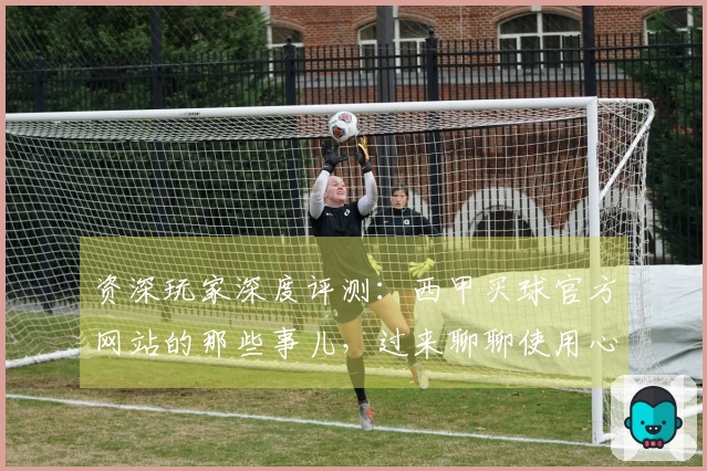 资深玩家深度评测：西甲买球官方网站的那些事儿，过来聊聊使用心得